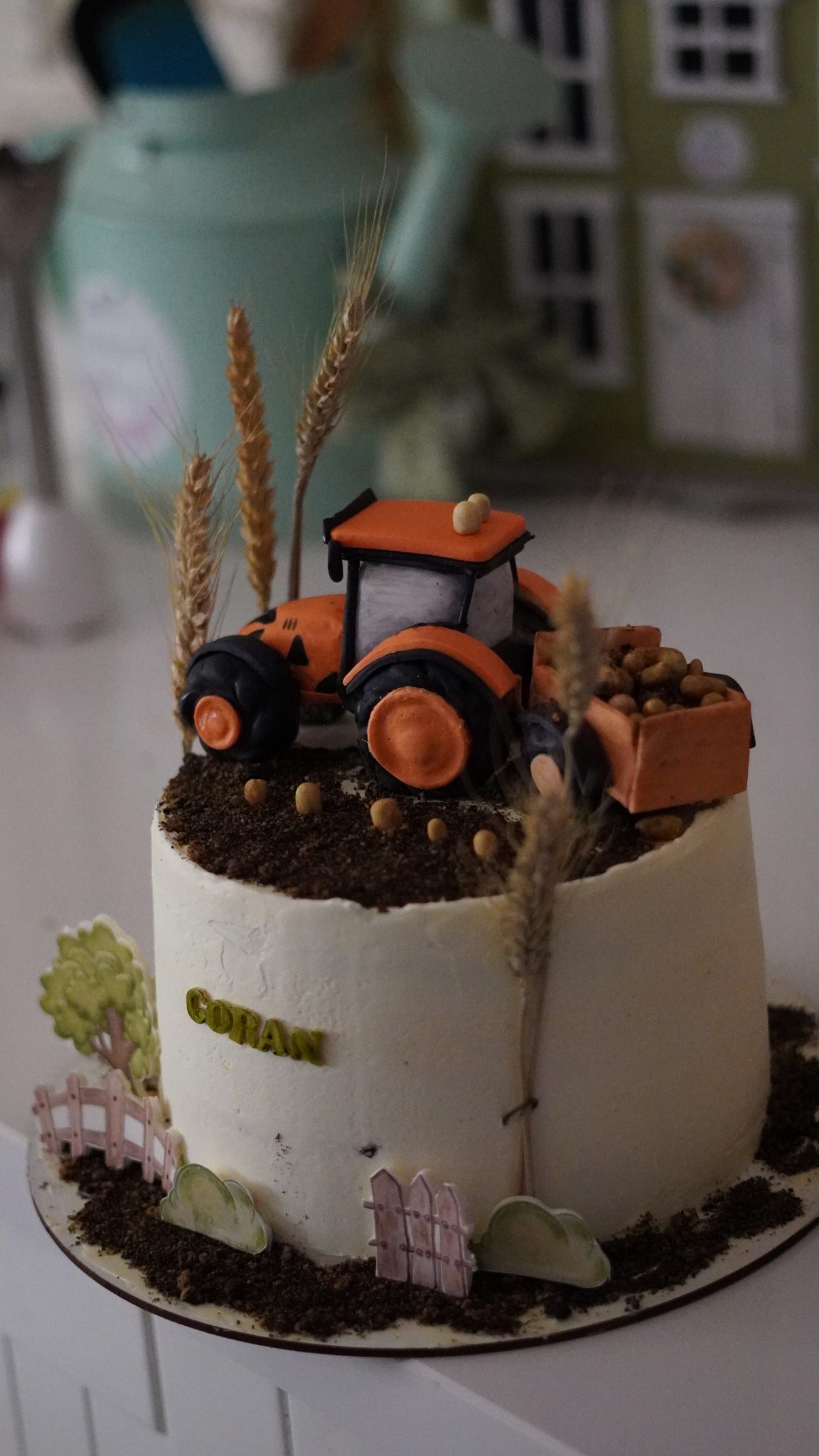 TARTAS CON MODELAJE A MANO EN 3D dsc00253