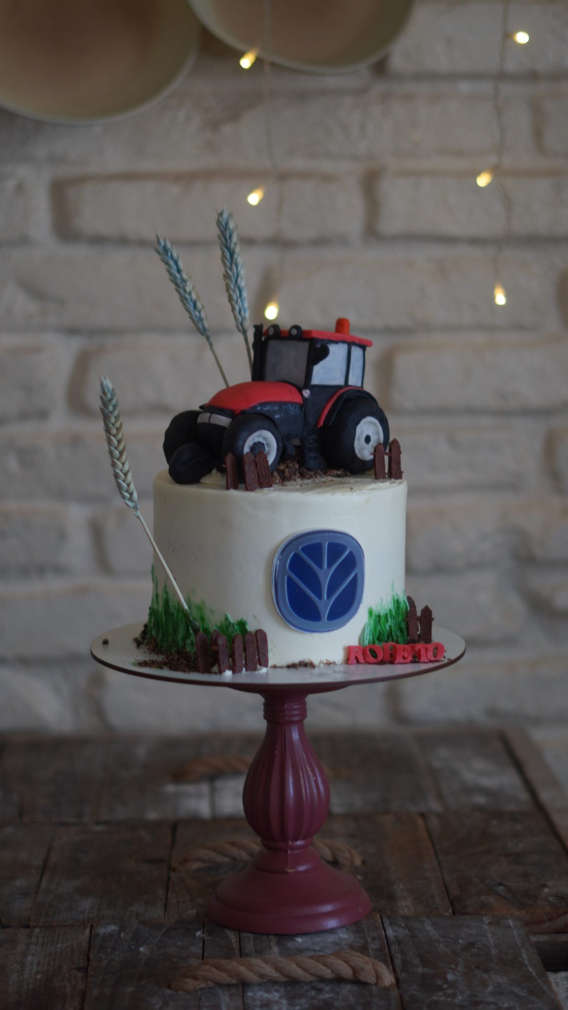 TARTAS CON MODELAJE A MANO EN 3D dsc02865